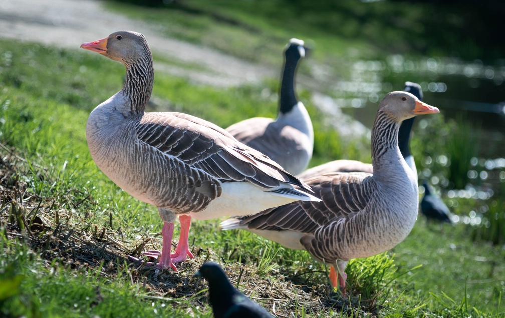 _DSC9840.jpg