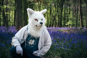  DSC9790-Edit