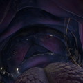 VRChat_2025-04-26_14-41-26.208_2560x1440.png