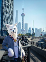 IMG 20241130 123843
