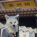 IMG_20241201_095703.jpg