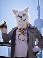 IMG 20241130 112600