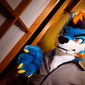 20250520_234939.jpg