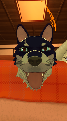 VRChat 2025-03-22 16-05-42.585 1440x2560